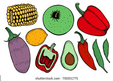 Colored vintage engraving organic vegetables, wheat and fruits sign isolated on white. Sketch vector hand drawn illustration.