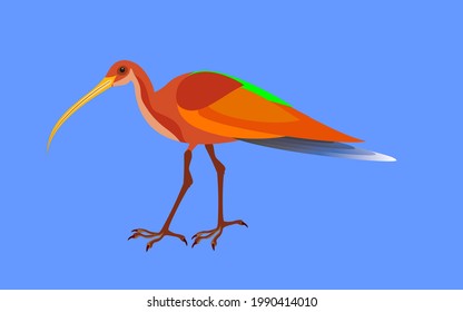 Colored vivid bird flat vector illustration