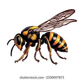 Colored wasp design over white