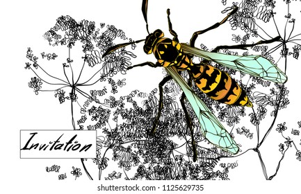 Colored wasp on white background. Ornate decorated yellow insect for visit card. Hand drawn vector flower illustration. Fantasy,nature, invitatio. Ecologic cosmetics.