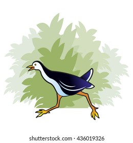 colored water hen running near green bush-vector drawing
