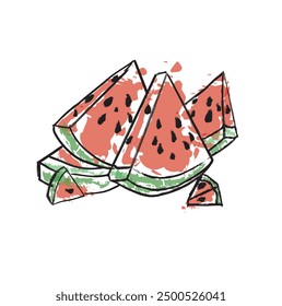 colored watermelon slice illustration vector