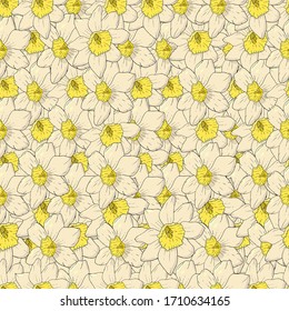 narcisos blancos de color sin fisuras, sin espacios. fondo de flores daffodil para el embalaje. Dibujo manual del narciso blanco.