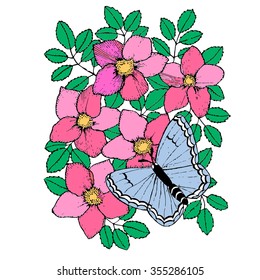 colored wild roses with butterfly on them pattern in vintage style