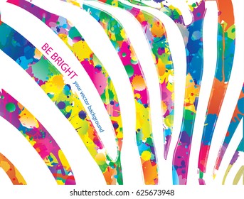 Colored Zebra stripes
