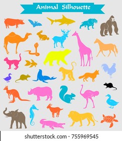Colored Zoo Animals Silhouettes Set