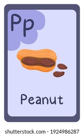 Colorful abc education flash card, Letter P - peanut, seed with shell. Alphabet vector illustration with food, fruits and vegetables. School, study, learning concept.