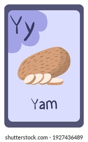 Colorful abc education flash card, Letter Y - yam, root vegetable. Alphabet vector illustration with food, fruits and vegetables. School, study, learning concept.