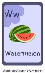 Colorful abc education flash card, Letter W - watermelon, summer big berry. Alphabet vector illustration with food, fruits and vegetables. School, study, learning concept.