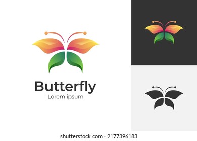 colorful abstract butterfly beauty feminine logo icon symbol vector illustration