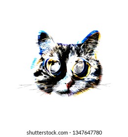 colorful abstract cat portrait