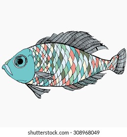 Colorful abstract fish. Vector. Isolated  