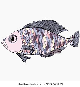 Colorful abstract fish. Vector. Isolated