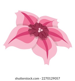Colorful abstract flower icon. Vector illustration isolated on white background.
