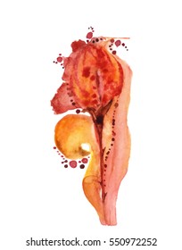 Colorful abstract oil forms with splashes and spatters.