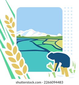 Diseño de vectores de campo de arroz colorido y abstracto