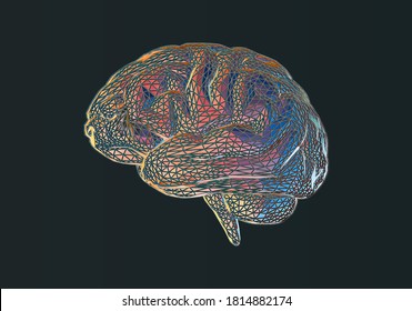 Colorful abstract stylized 3D triangular wireframe constructed human brain vector illustration isolated on black background