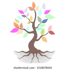 colorful abstract trees and roots leaves. vector