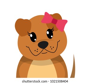 colorful adorable female dog cute animal