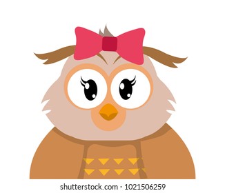 colorful adorable female owl cute animal