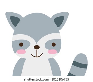 colorful adorable and happy raccoon wild animal