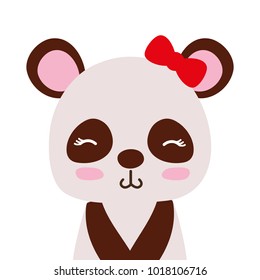 colorful adorable and shy panda female wild animal