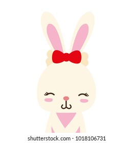 colorful adorable and shy rabbit female wild animal