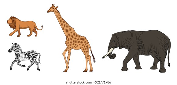 African Big Five Animals Buffalo Elephant Stock Photo 292732511 ...