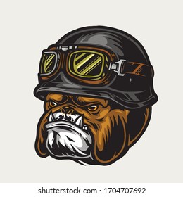 Colorful aggressive biker bulldog head wearing moto helmet and goggles in vintage style isolated vector illustration