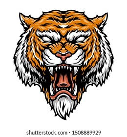 Colorful aggressive strong tiger head in vintage style isolated vector illustration