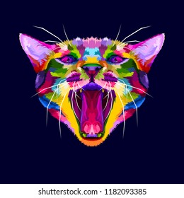 colorful Angry cat head, The cat growls, Angry cat close up.