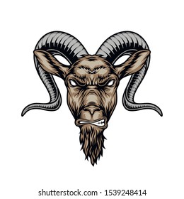 Colorful angry horned goat head in vintage style isolated vector illustration