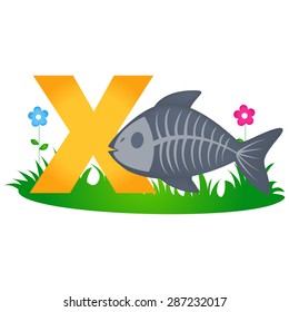 Colorful animal alphabet letter X with a cute x ray fish flash card isolated on white background