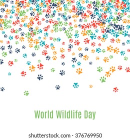 Colorful animal footprint ornament border isolated on white background. Vector illustration for animal design. Random foot prints on top. Many bright trail. Frame of cute paw trace. World wildlife day