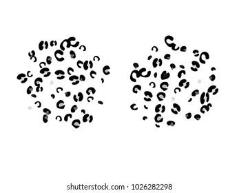 Colorful animal spots. Animal abstract print pattern. Vector illustration for celebration, party, holiday, invitation and Your project. Chaotic Decor. Modern Creative Style.