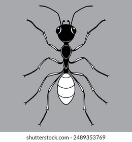 Colorful Ant Royalty-Free Photos and vector