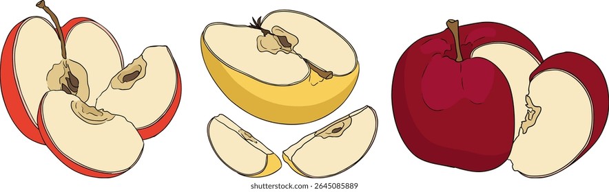 Colorful apples, perfect for educational or botanical designs. High quality illustration.