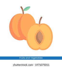 Colorful Apricot icon vector design. Fruits and Vegetables symbol for your website design, logo, app, 