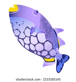 Colorful   aquarium fish. Beautiful aquatic animals. Vector illustration. Design elements