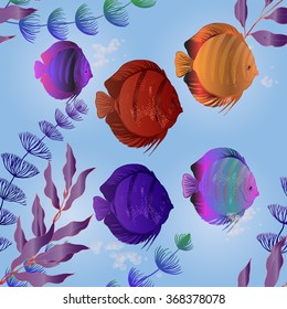 Colorful aquarium fish - discus. Vector drawing.
