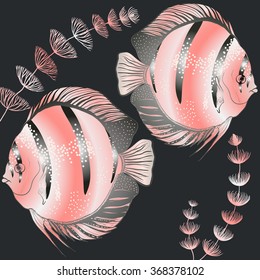 Colorful aquarium fish - discus. Vector drawing.