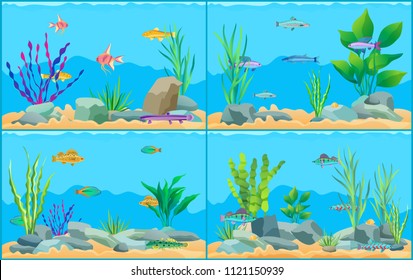 Colorful aquarium fishes in blue water promo poster. Multicolored sea animals, green water plants and bottom stones flat cartoon vector illustration.