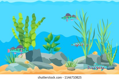 Colorful aquarium fishes in blue water promo poster. Multicolored sea animals, green water plants and bottom stones flat cartoon vector illustration.