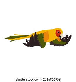 Colorful ara flying with spread wings vector illustration. Bird flapping wings, flight movements. Colorful parrot flying in sky isolated on white background. Animal, motion concept