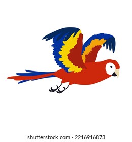 Colorful ara spreading wings vector illustration. Bird flapping wings, flight movements. Red parrot flying in sky isolated on white background. Animal, motion concept