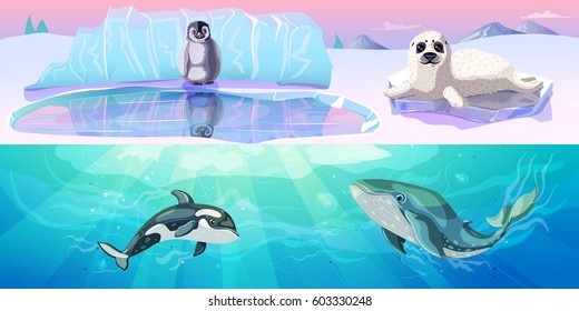 Colorful arctic animals horizontal banners with penguin seal and marine mammals in cartoon style vector illustration