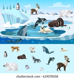 Colorful Arctic Wildlife Concept With Different North Animals In Cartoon Style Vector Illustration