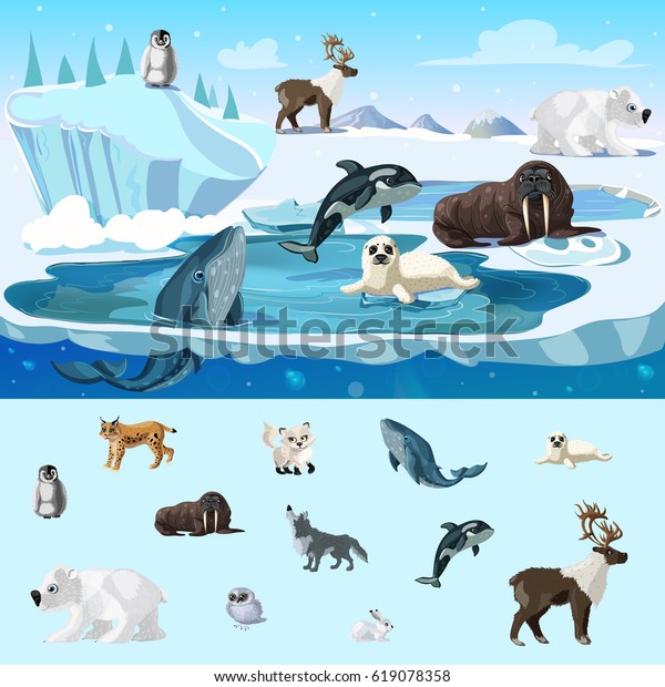 カラフルな北極野生生物のコンセプトで 北の異なる動物を描いたカートーン型のベクターイラスト のベクター画像素材 ロイヤリティフリー