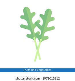 Colorful Arugula icon vector design. Fruits and Vegetables symbol for your website design, logo, app, UI. Eps10 vector illustration.