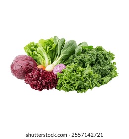 A colorful assortment of fresh leafy vegetables arranged for culinary use.